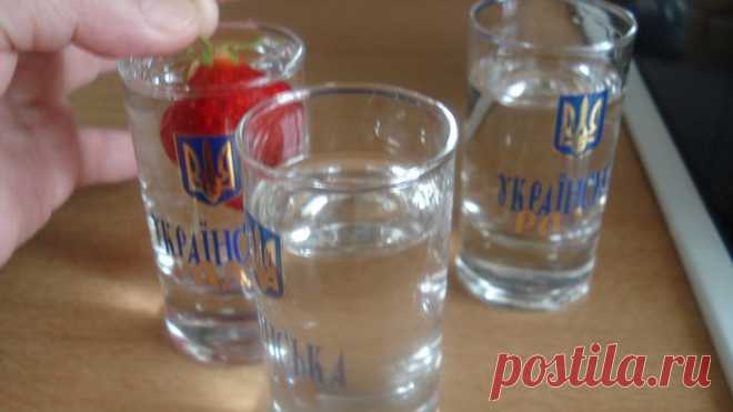 Клубника по -Русски