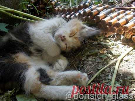 Фоторепортажи из Шахтерска от &quot;Борисыча&quot; | 136 фотографий