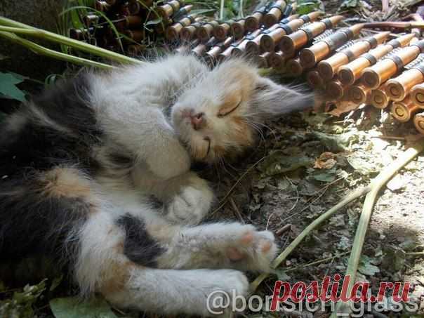 Фоторепортажи из Шахтерска от "Борисыча" | 136 фотографий