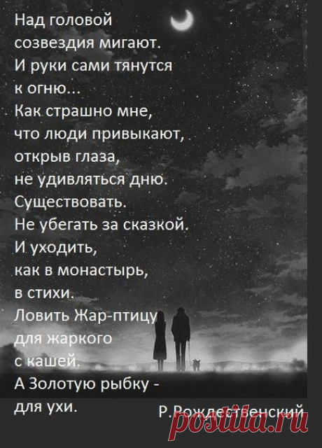 над головой созвездия мигают..