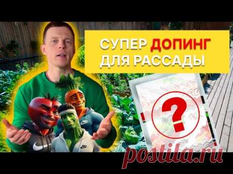 Допинг для рассады - обязательно попробуйте!