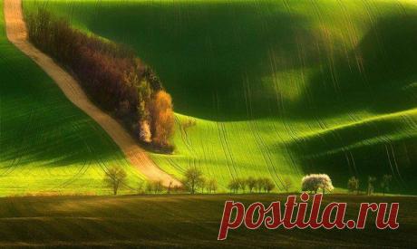 Твой путеводитель по планете ✔