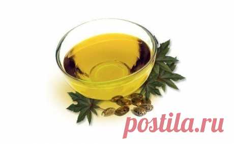 КАСТОРОВОЕ МАСЛО ДЛЯ КОЖИ — Мегаздоров