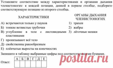 Привет! Давайте вспомним особенности дыхательной системы у членистоногих. Ответы пишите через 10 точек.