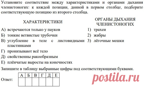 Привет! Давайте вспомним особенности дыхательной системы у членистоногих. Ответы пишите через 10 точек.