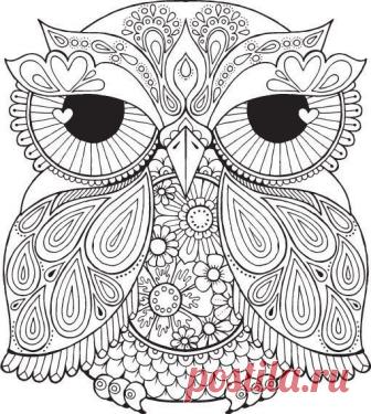 Яндекс.Картинки: поиск похожих картинок