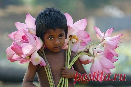 Притчи из Библии |