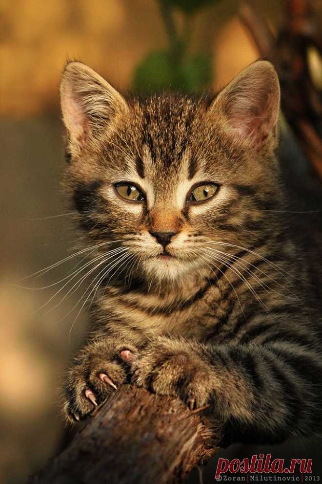 500px / Sunbathing by Zoran Milutinovic