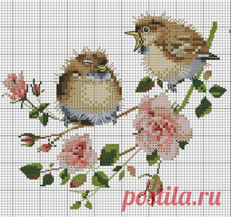 Подборка схем вышивки с птичками — DIYIdeas