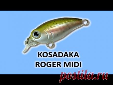 Kosadaka Roger Midi