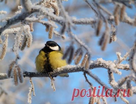 Василий Тимошин vasiliy-timoshin (Vasilek), Москва, Россия на Мой Мир@Mail.RU