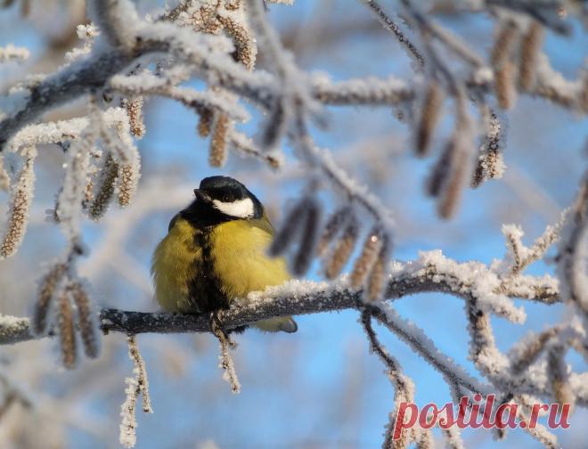 Василий Тимошин vasiliy-timoshin (Vasilek), Москва, Россия на Мой Мир@Mail.RU