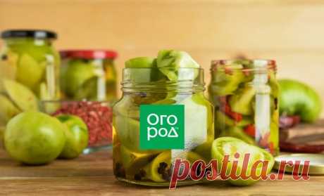 Самые вкусные зеленые помидоры на зиму – рецепты с фото | Статьи (Огород.ru)