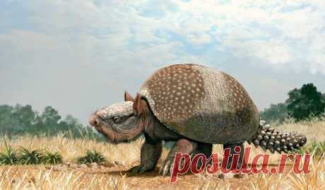 Glyptotherium arizonae. Плейстоцен Северной Америки.