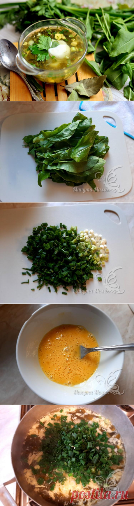 Суп из щавеля с яйцом – классический рецепт с мясом