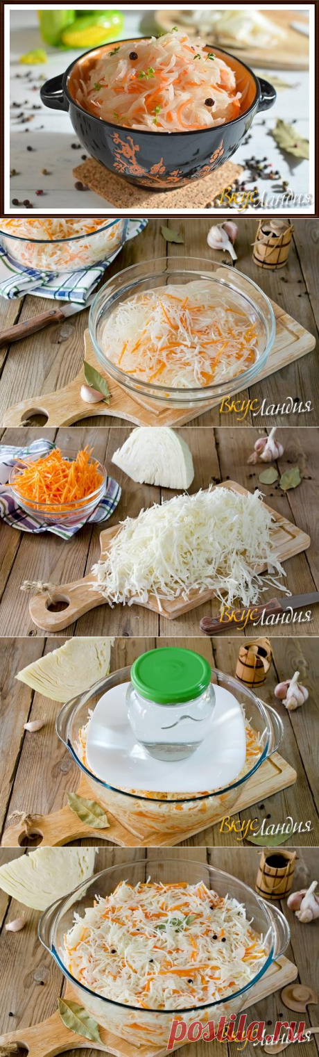Квашеная капуста