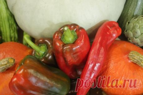 КАК ПРАВИЛЬНО ЗАМОРАЖИВАТЬ ОВОЩИ НА ЗИМУ - Садоводка