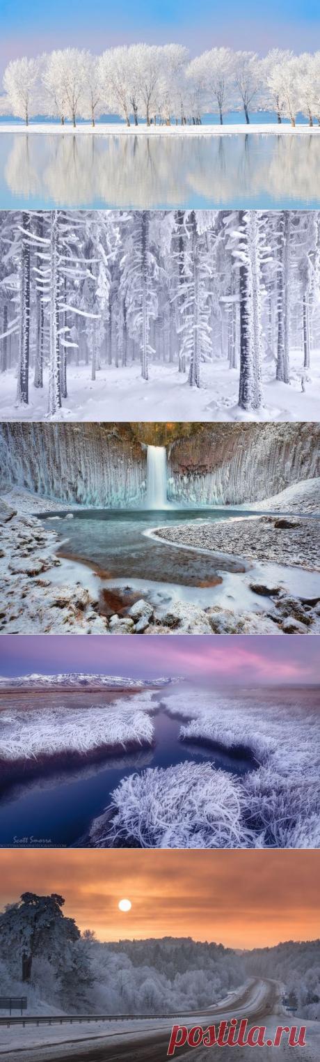 Иней на фотографиях. Двенадцать лучших примеров | Современное искусство