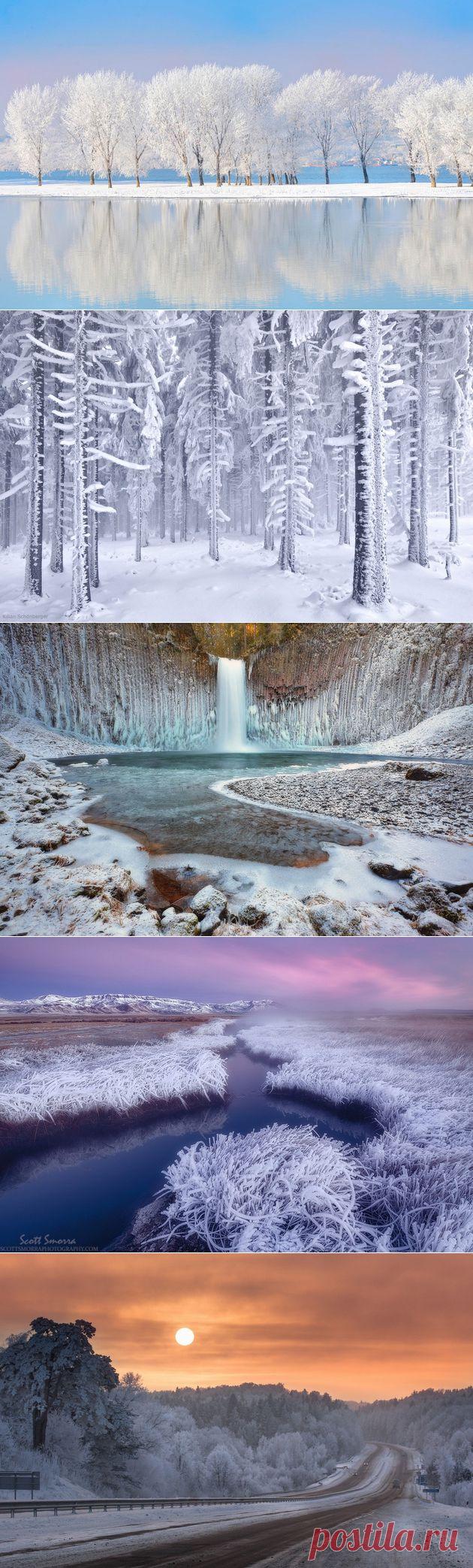 Иней на фотографиях. Двенадцать лучших примеров | Современное искусство