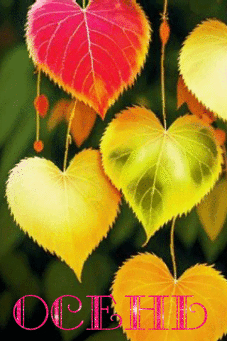 Осень