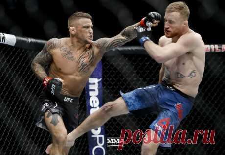 Картинки UFC (42 ФОТО) ⭐ Забавник