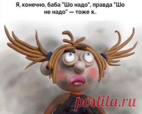 — Вчера из за меня две женщины дрались!.. 
Папа-бобер пошел на охоту и поймал в реке табуретку. Вся семья собралась вечером на торжественный ужин. Сидят за столом, салфетки повязали, табуретка на столе. И самый маленький бобер говорит: «Папа!…