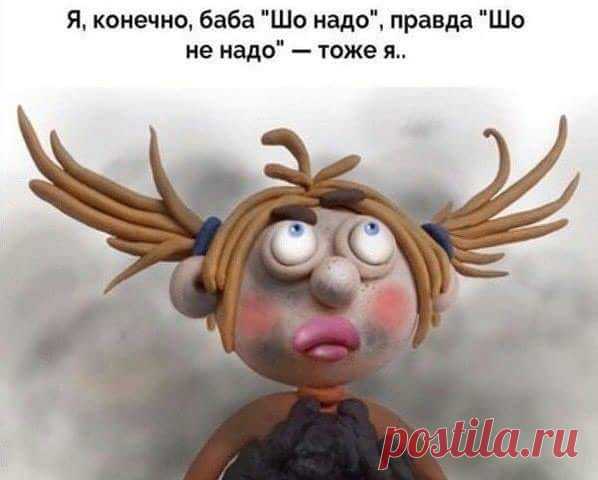 — Вчера из за меня две женщины дрались!.. 
Папа-бобер пошел на охоту и поймал в реке табуретку. Вся семья собралась вечером на торжественный ужин. Сидят за столом, салфетки повязали, табуретка на столе. И самый маленький бобер говорит: «Папа!…