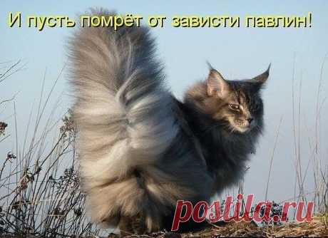 ...⇩⇩⇩...