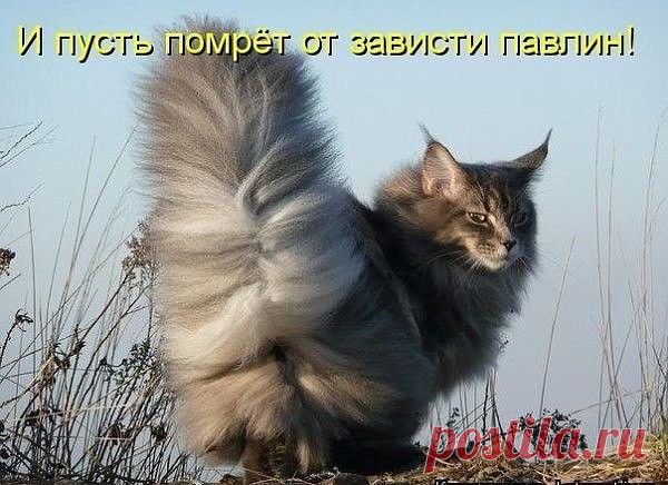 ...⇩⇩⇩...
