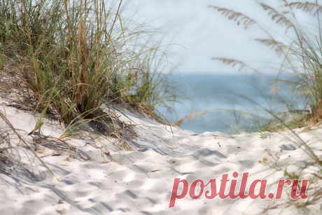 Beach  Free Stock Photo HD - Public Domain Pictures