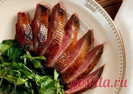 Как приготовить дикую утку: рецепты вкусных блюд с фото