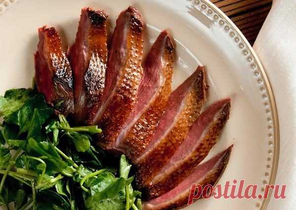 Как приготовить дикую утку: рецепты вкусных блюд с фото
