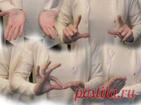 Нужен переводчик жестового языка! &amp;mdash; ХИГ