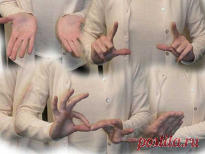 Нужен переводчик жестового языка! &mdash; ХИГ