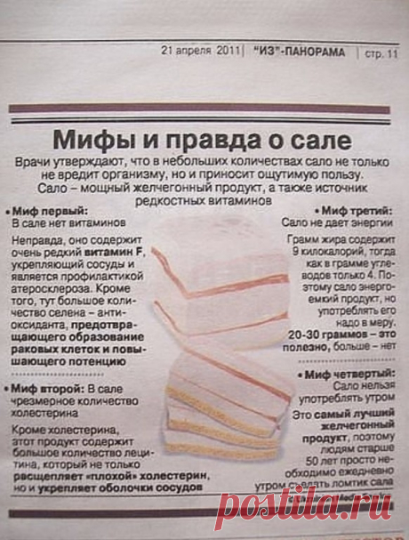 Вся правда про наше любимое сало.