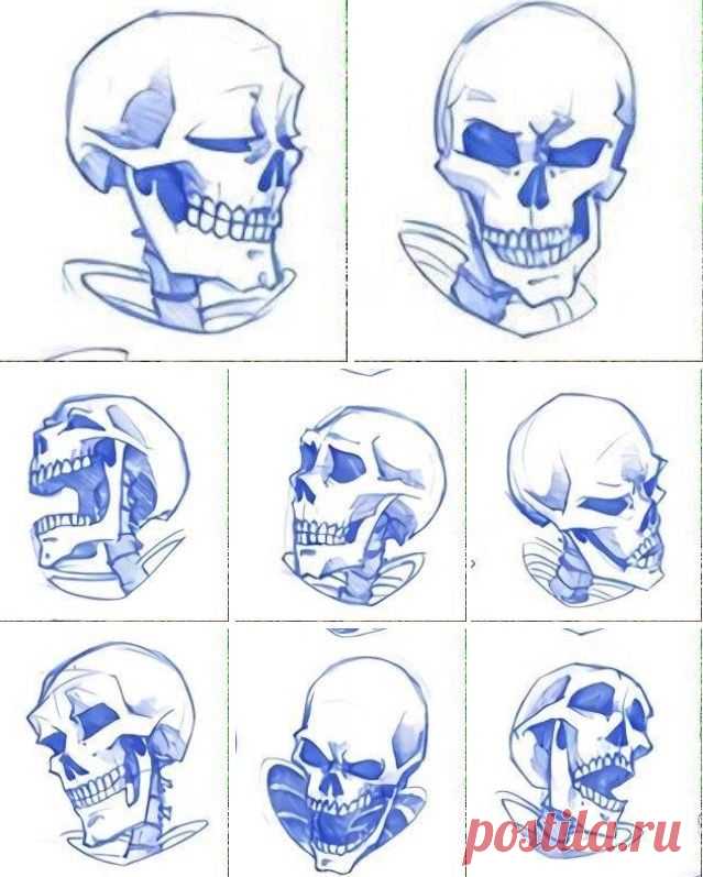 Череп человека. Эмоции.