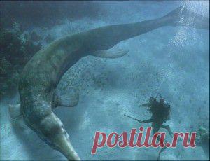 Путь культа числа Пифагора