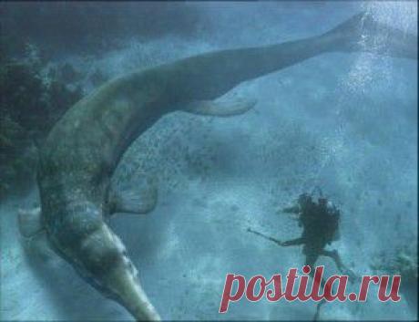 Путь культа числа Пифагора