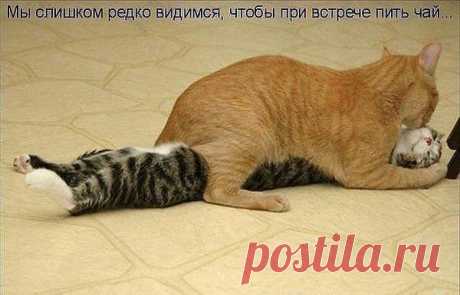 Интересные новости