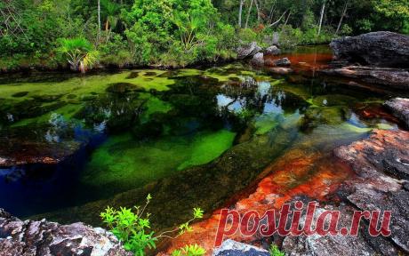 Новые фотографии рабочий стол зверюшки.