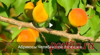 Почта Mail.Ru