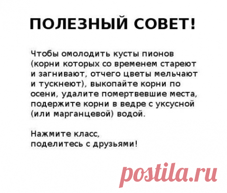 Одноклассники
