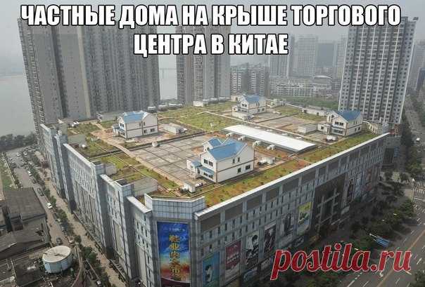 Мой Мир@Mail.Ru