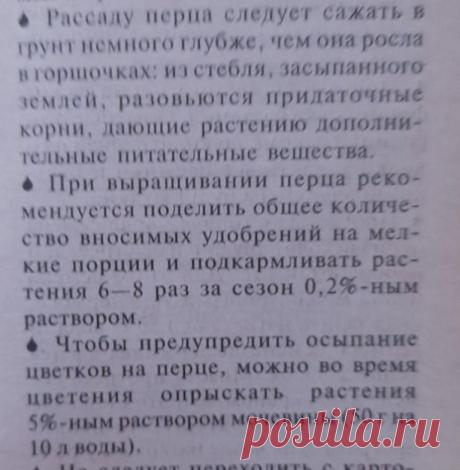 Огород. Про перцы