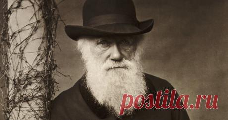 Премия Дарвина: естественный отбор в действии. | Professionali.ru