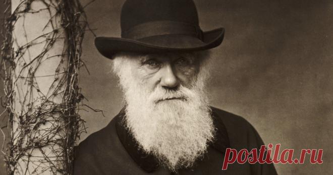 Премия Дарвина: естественный отбор в действии. | Professionali.ru