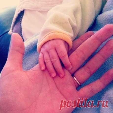 Первые семь лет ребенка нужно любить, вторые семь лет надо его воспитывать, третьи семь лет — быть ему самым лучшим другом, а потом отпустить его и молиться чтобы у него все было хорошо…