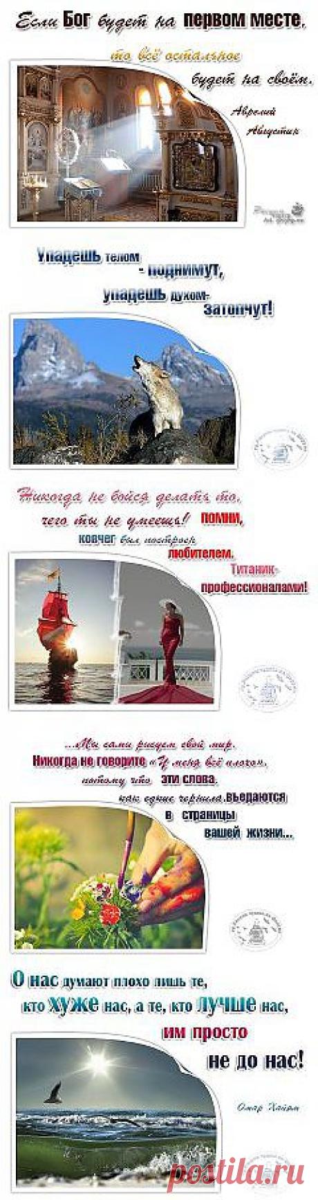 (1) Одноклассники