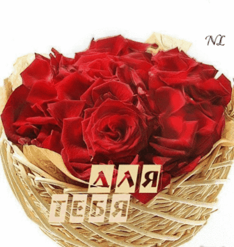 753214590.gif (555×585)