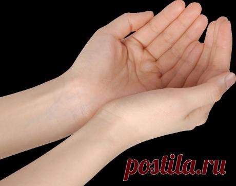 КЛИПАРТ &quot;РУКИ&quot;.